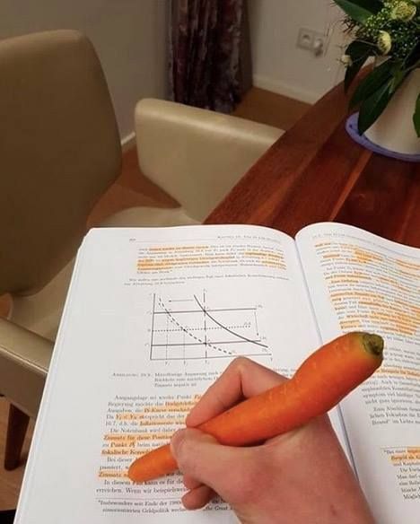 studying vegan
