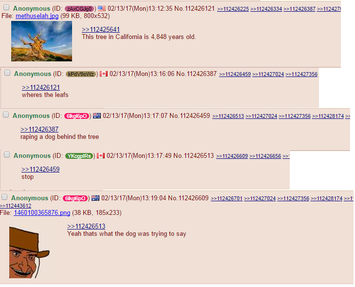No one tops aussie bantz
