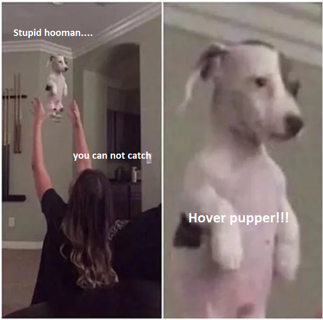The power of Hover Pupper