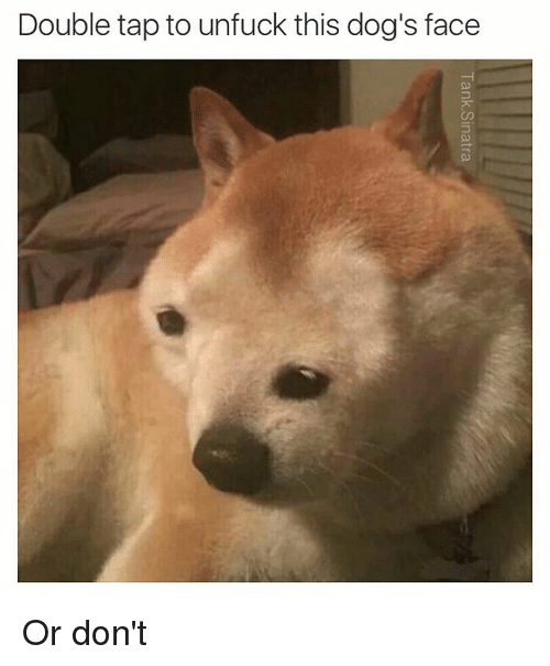 Poor ol' pupper
