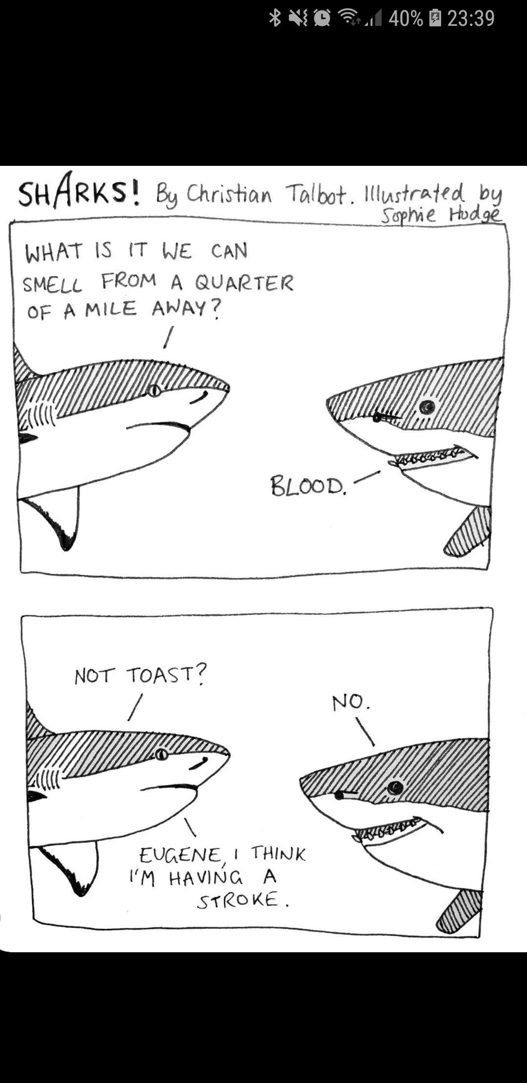 Sharks!