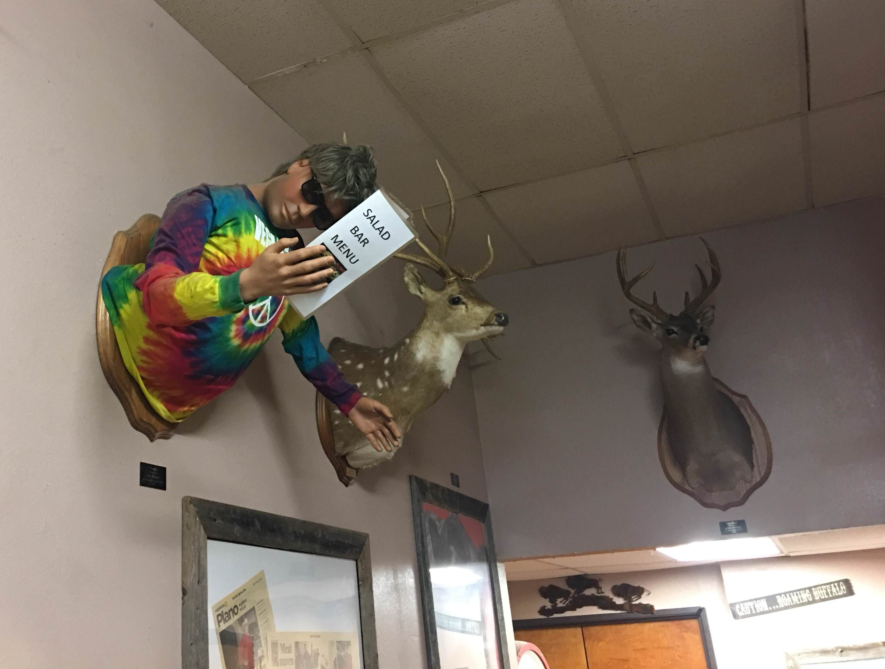They mounted a vegan to the wall at my local butcher shop.