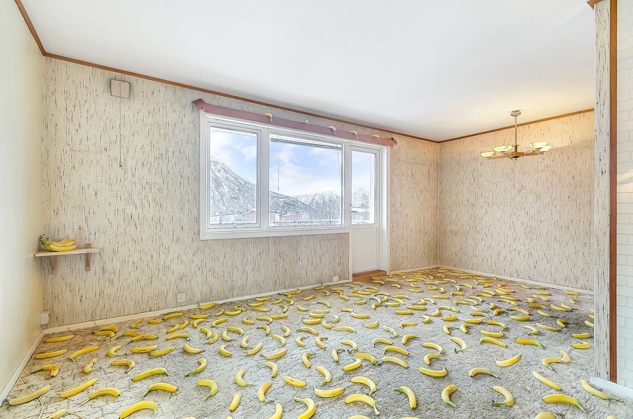 House for sale in Norway with bananas for scale