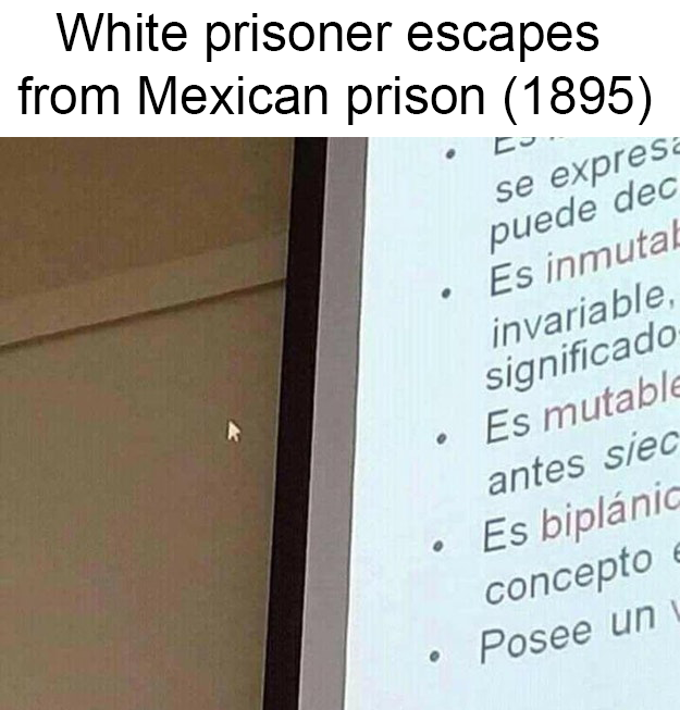 get him back