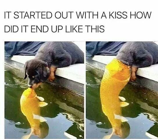 It was only a kiss IT WAS ONLY A KISS