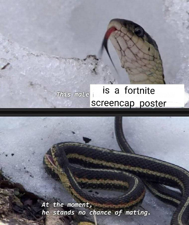 snek