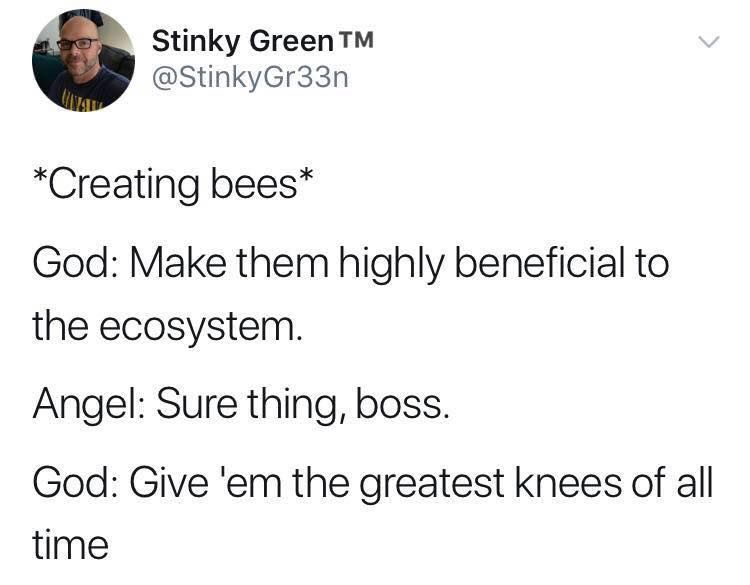 oh shit.