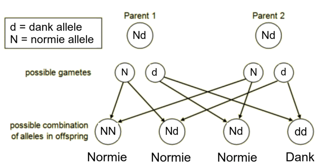 Genomatics