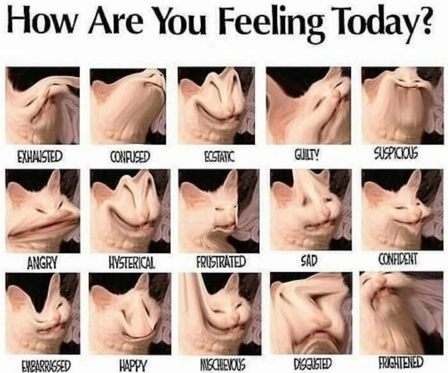 help