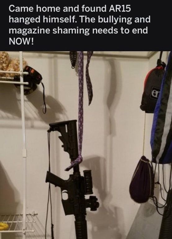 Stop the bully
