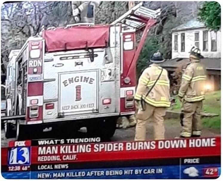 I read this as “man-killing spider burns down home” which would make for a much better story