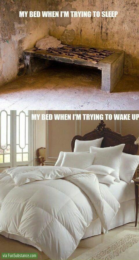 Bed Comfort Level