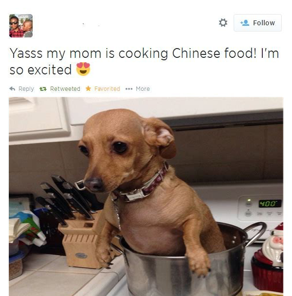 bow wow chow