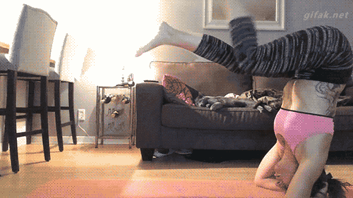 Cats scatter after their owner has a yoga mishap