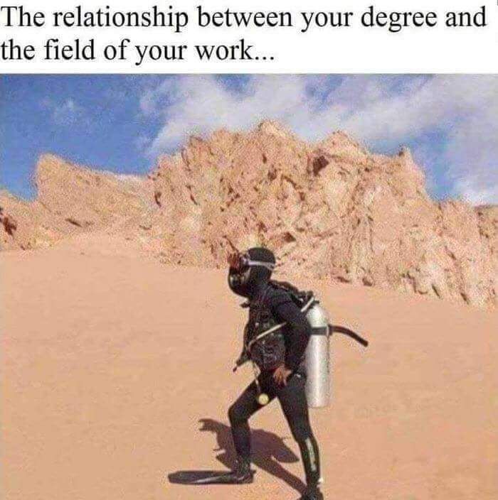 The relationship between your degree and the field of your work...