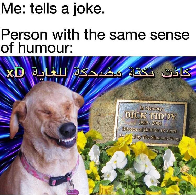 humor*