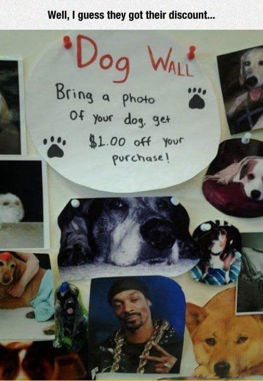 Well, I guess they brought their Dog photo