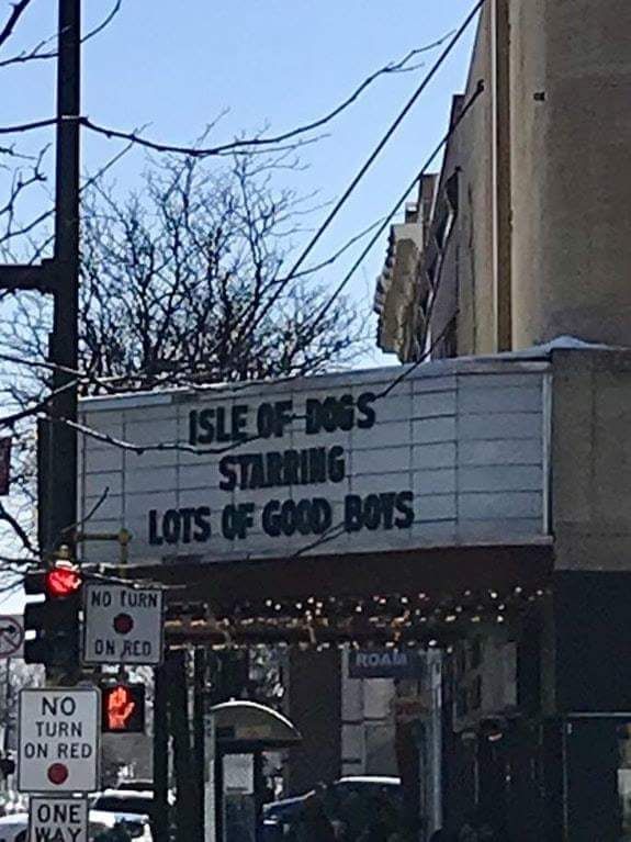 My local theater always has clever marquees