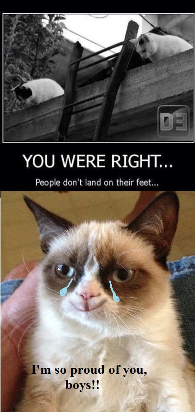 Grumpy Cat Proud!