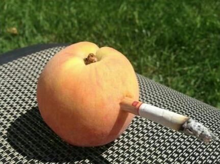 "James? I haven't heard that name in years."