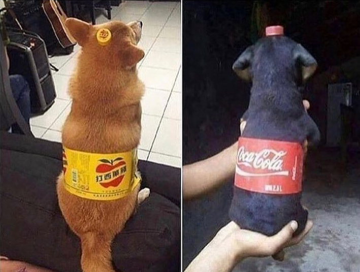 Two bottles of soda pup please