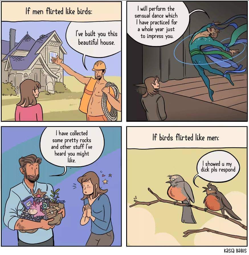 If men flirted like birds