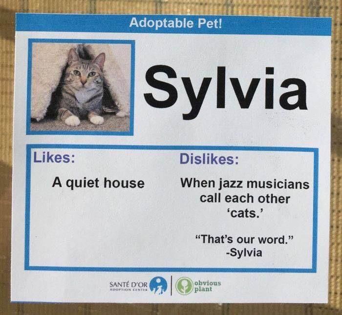 All adoption profiles should be like this