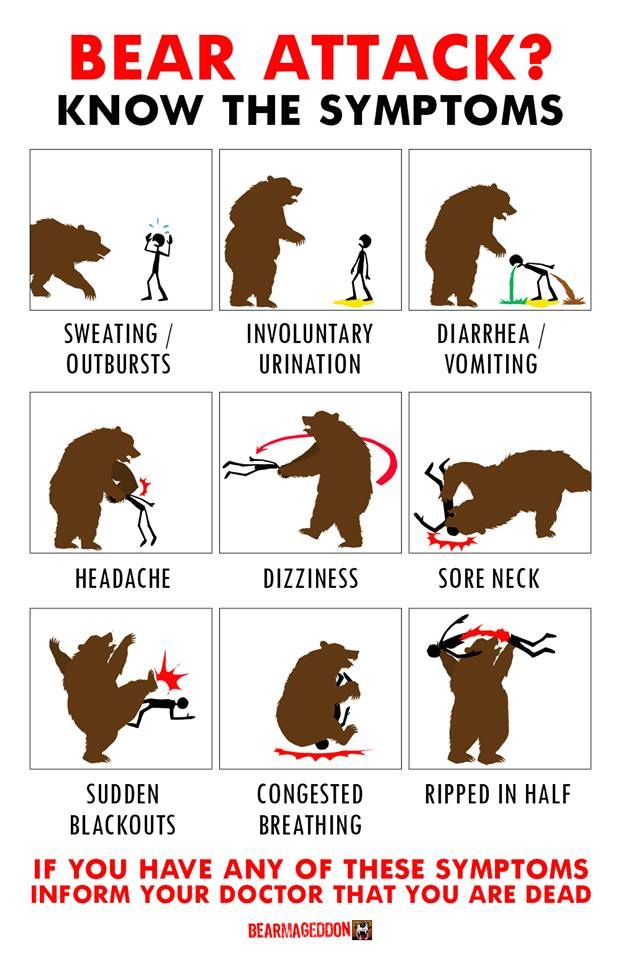 Common symptoms of a Bear attack.