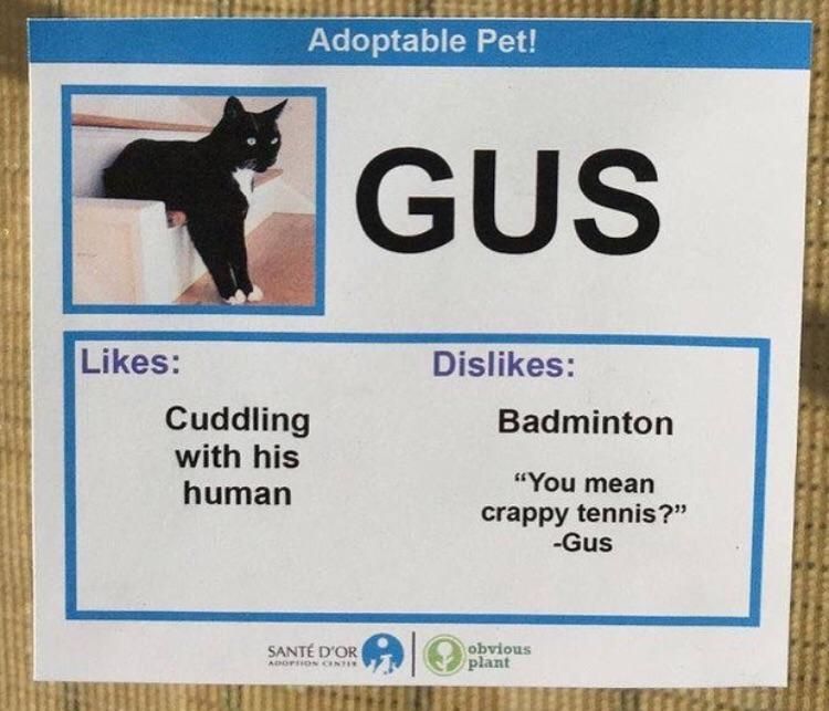 Here’s another one of those adoption profiles