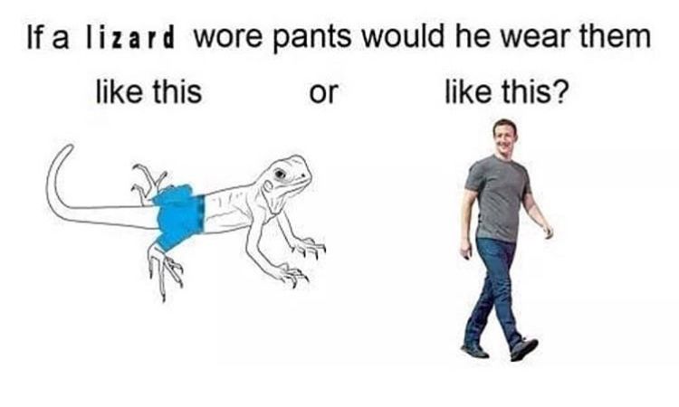 When a lizard wears pants