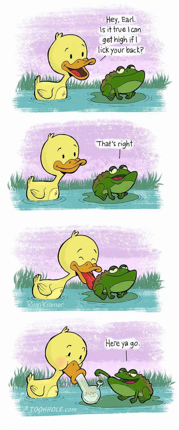 Good friend frog