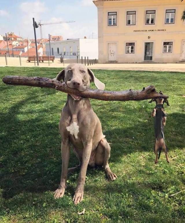 Branch manager and assistant branch manager.