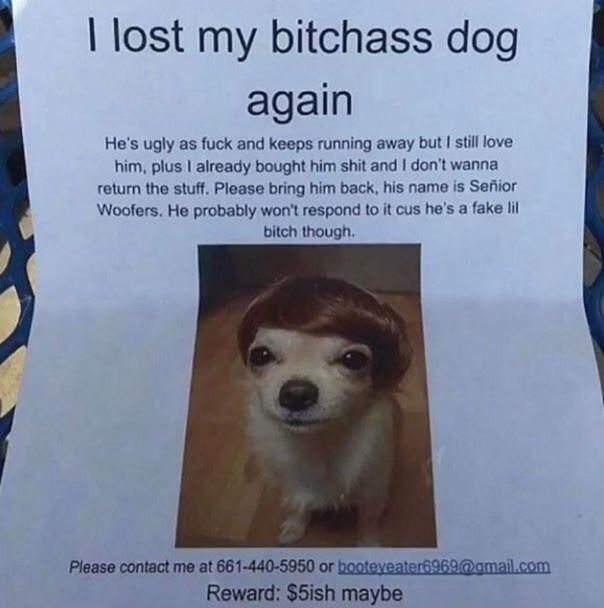 Best lost dog ad ever?