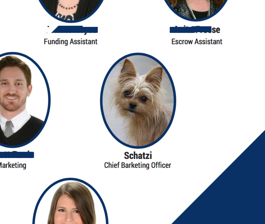 Our office dog is featured on our marketing materials.