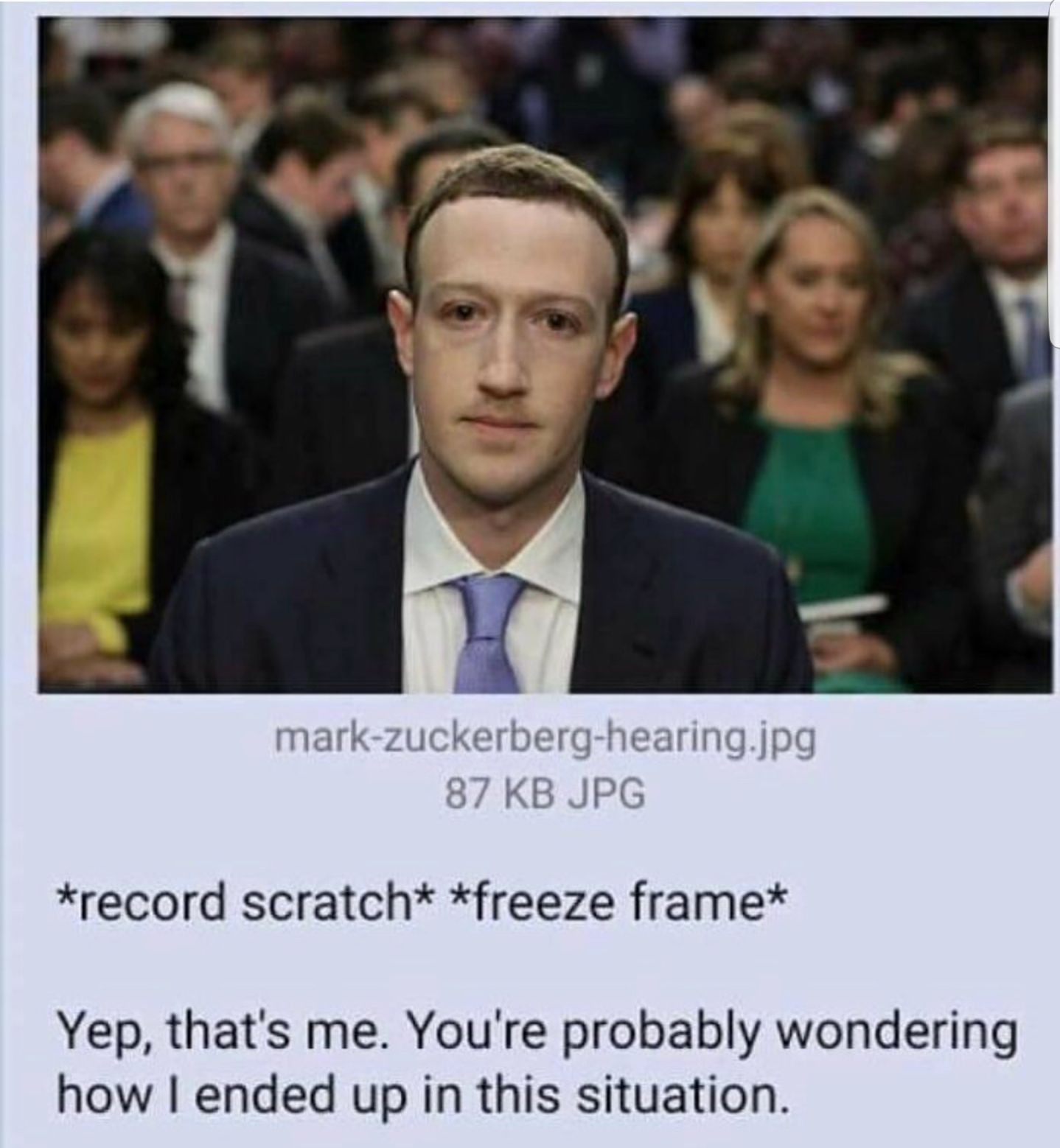 >be me >zucc