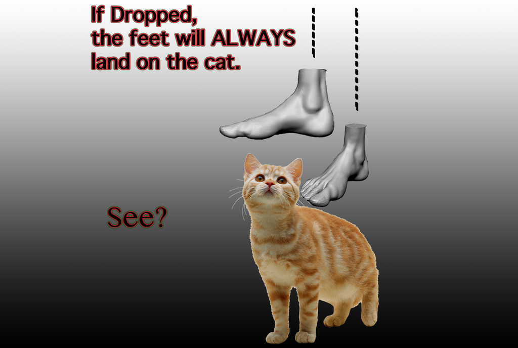 Do you see?