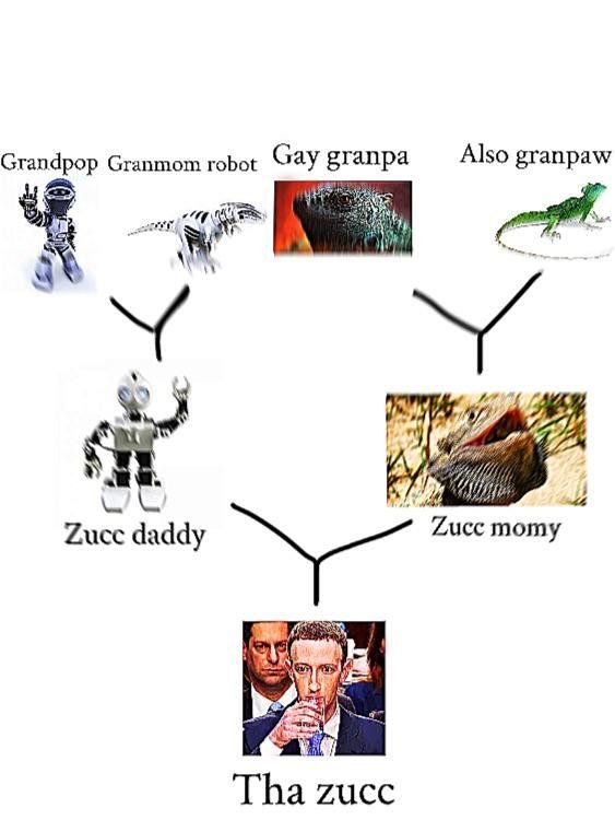 checks out