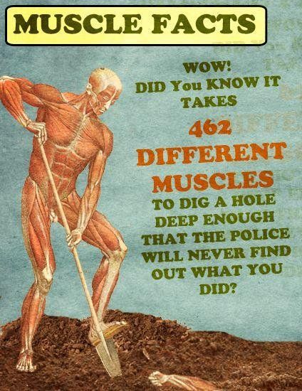 The more you know
