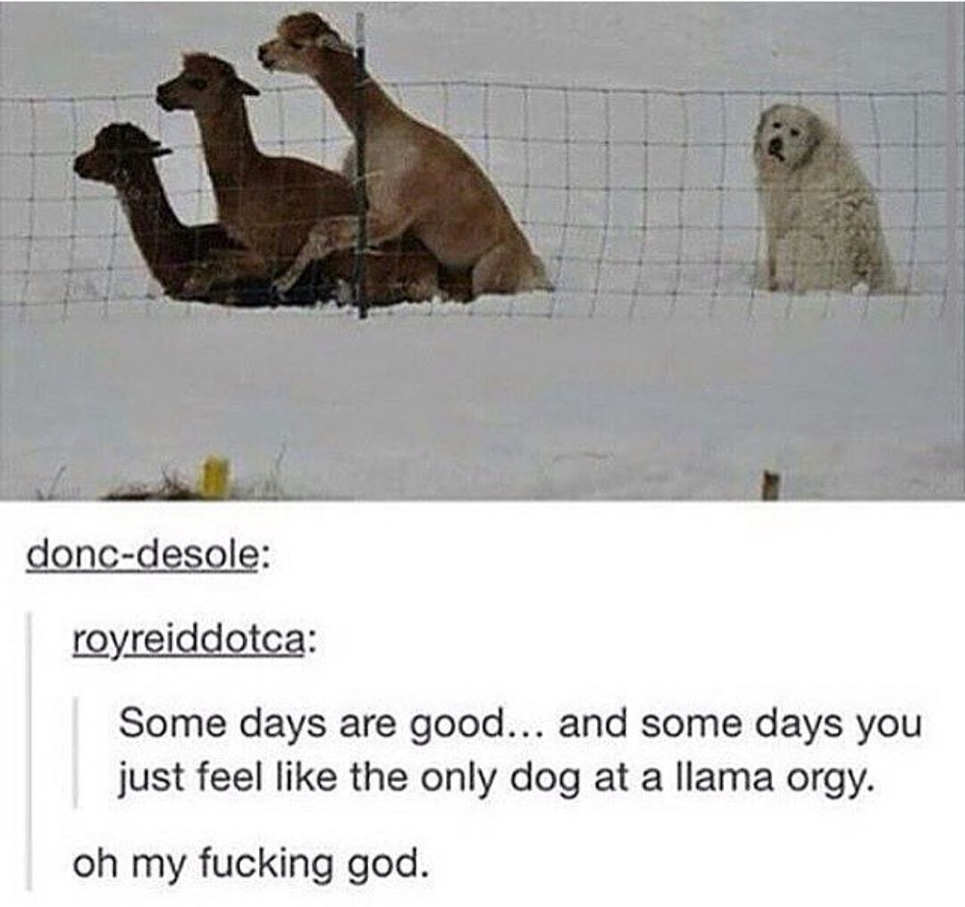 relatable