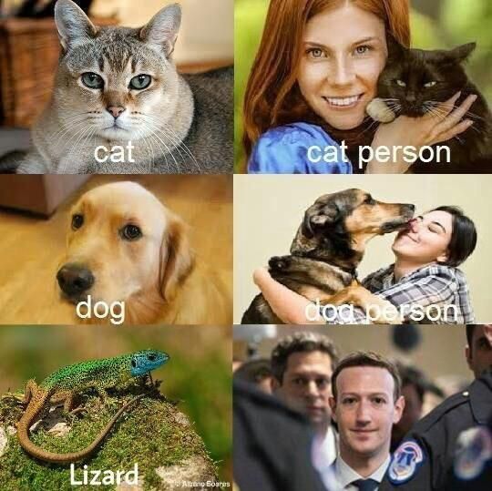 You need a pretty high IQ to understand this one.