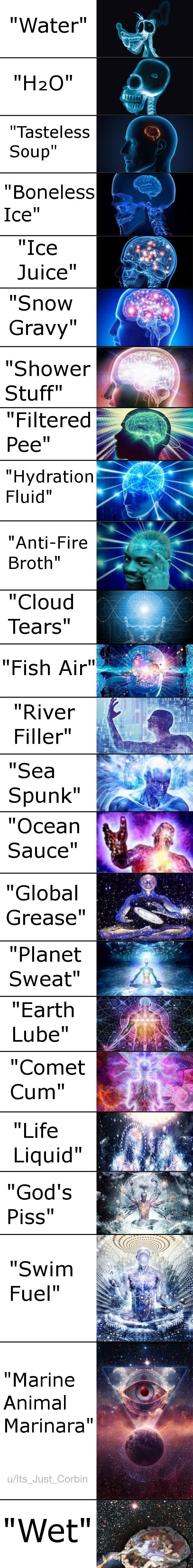 6 million years of evolution have led to this meme's creation.