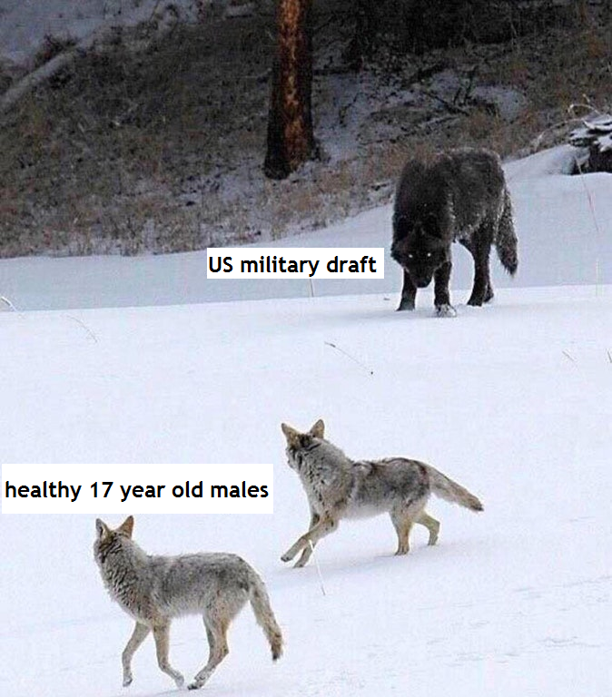Run forest run forest run