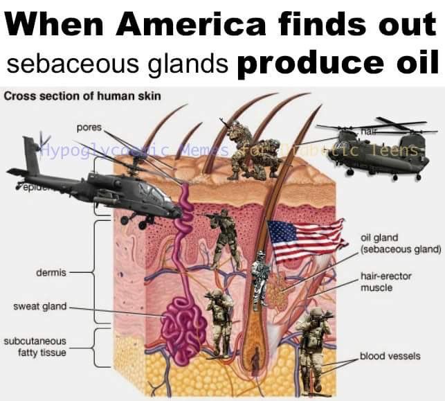 No oil from Syria necessarry