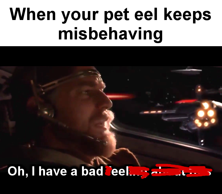 Damn it Eel!!
