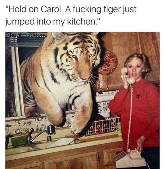 Hold on Carol