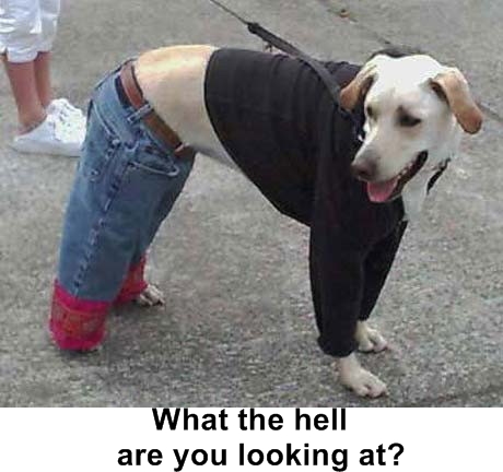 What?