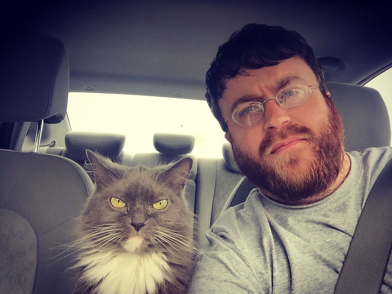 My cat and I enjoy driving around town and disapproving of everyone we see.