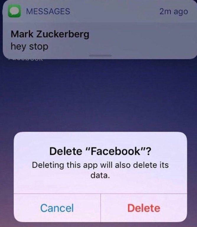 NEW message from Mr. Zucc
