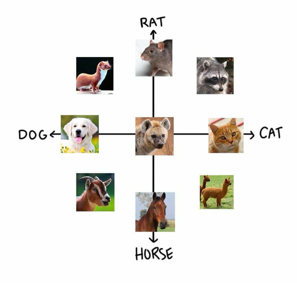 the true table of politics