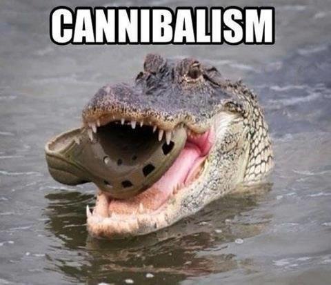 Cannibal crocodile